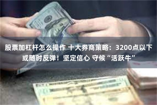 股票加杠杆怎么操作 十大券商策略：3200点以下或随时反弹！坚定信心 守候“活跃牛”