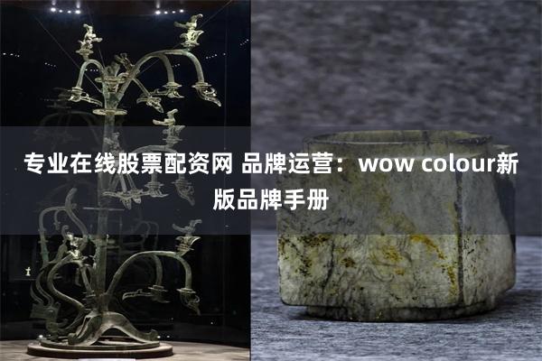 专业在线股票配资网 品牌运营：wow colour新版品牌手册