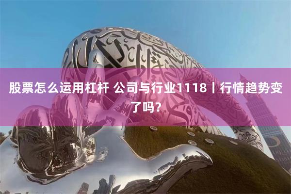 股票怎么运用杠杆 公司与行业1118丨行情趋势变了吗？