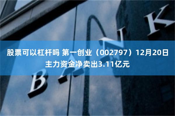 股票可以杠杆吗 第一创业（002797）12月20日主力资金净卖出3.11亿元