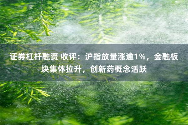 证券杠杆融资 收评：沪指放量涨逾1%，金融板块集体拉升，创新药概念活跃