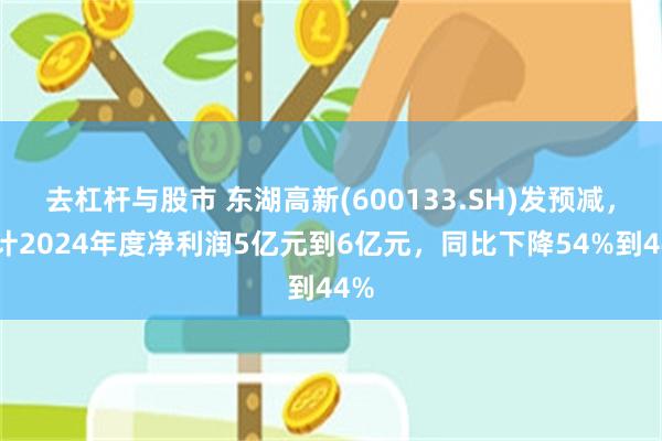 去杠杆与股市 东湖高新(600133.SH)发预减，预计2024年度净利润5亿元到6亿元，同比下降54%到44%